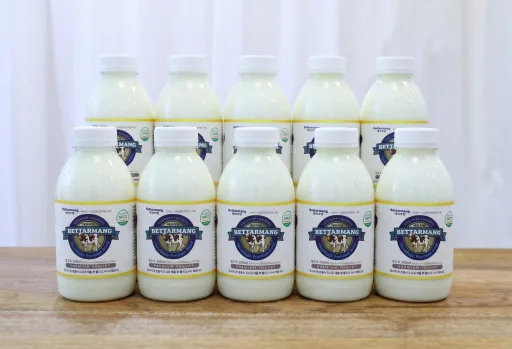 베따르망 요거트가당 500mL 10개입